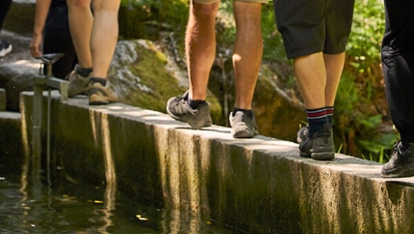 Detours and Sustainable Tourism: Exploring Nature Responsibly