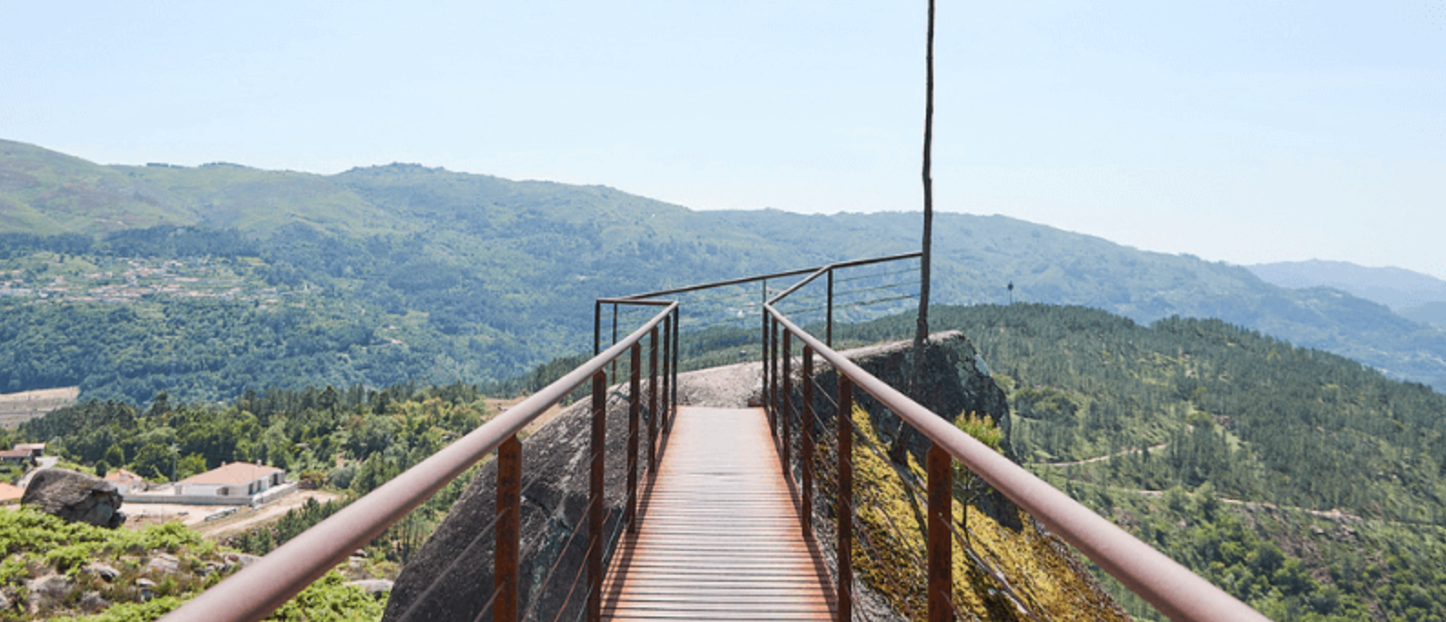 natural park with a walkway