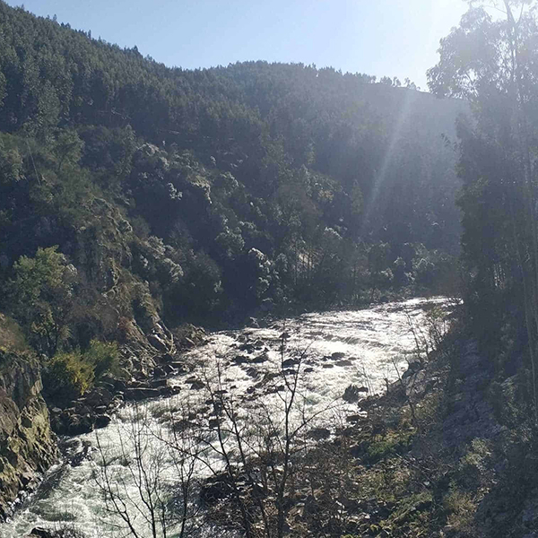 516-arouca-5