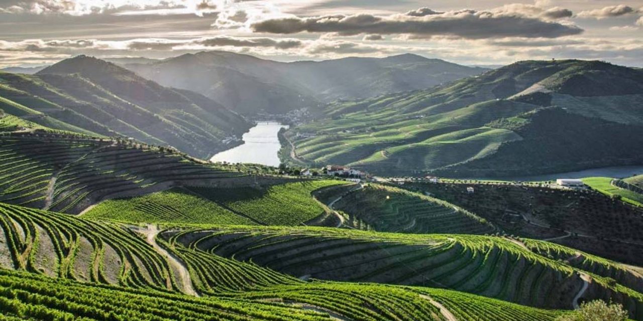 douro valley 