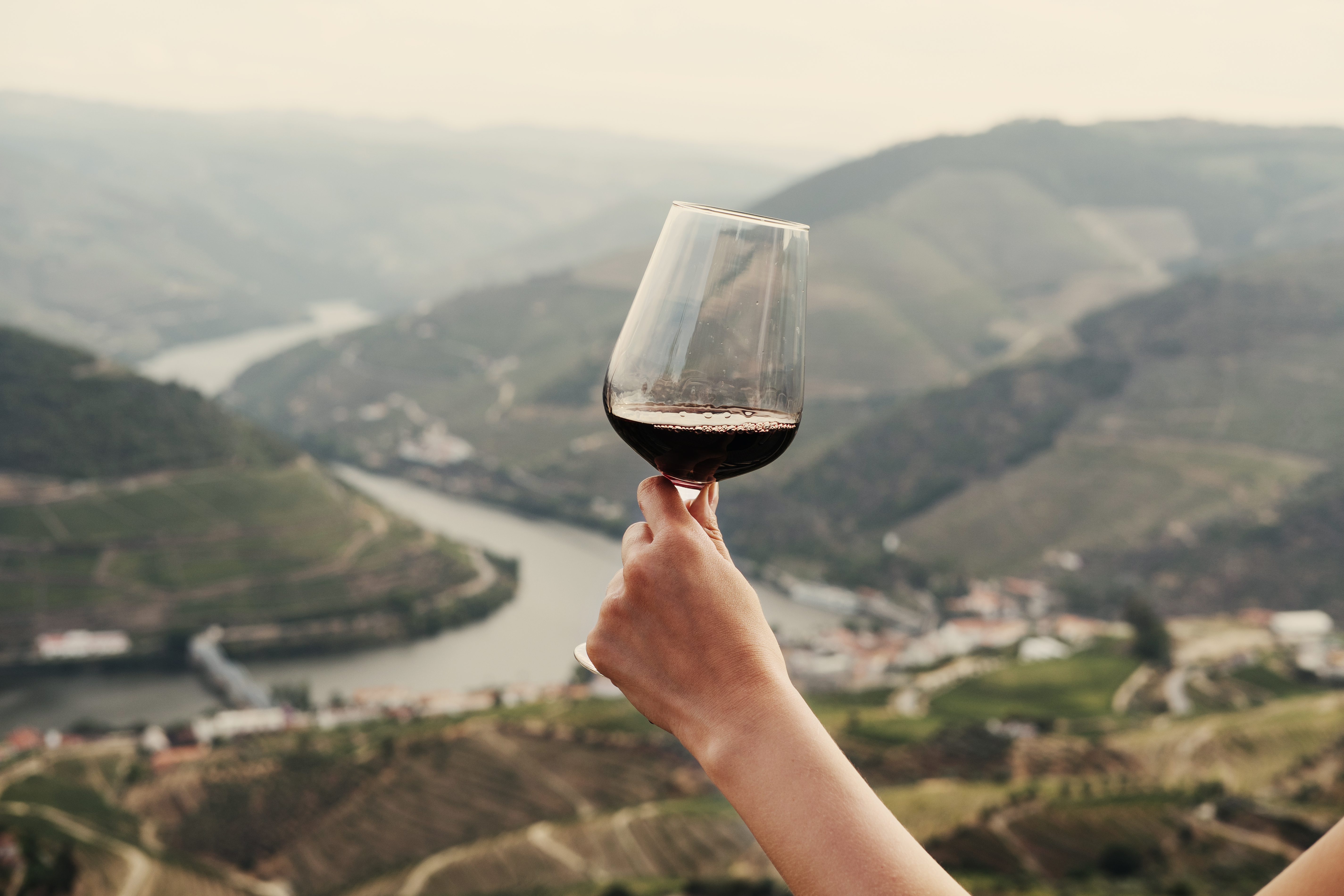 Explore Portugal’s Countryside with Eco-Friendly Wine Tours