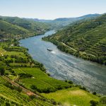 Douro Valley Landscape