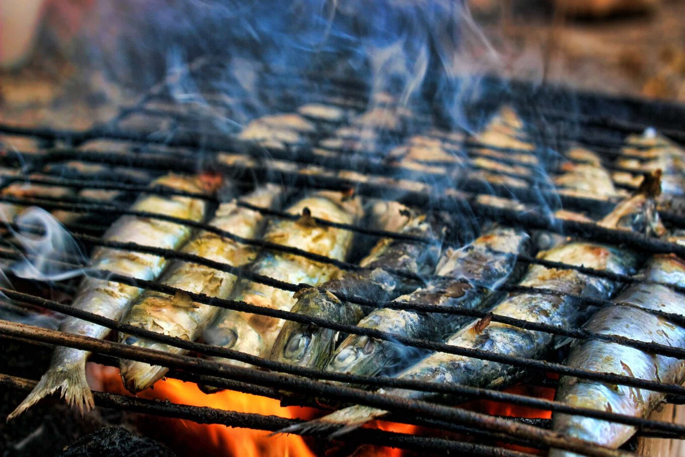 Grilled sardines at the city of Porto
